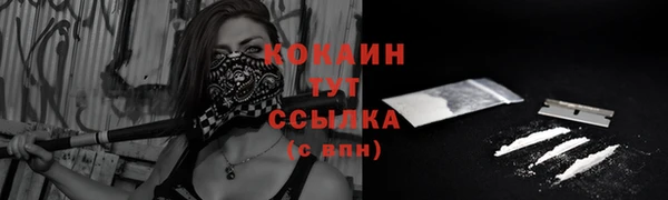 ALPHA PVP Горняк
