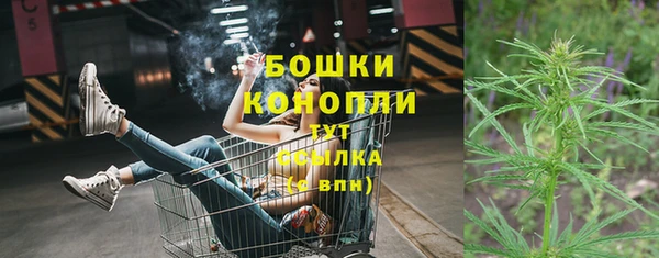 МДПВ Горно-Алтайск