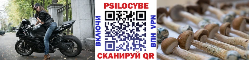 Псилоцибиновые грибы GOLDEN TEACHER Купить где Михайловск